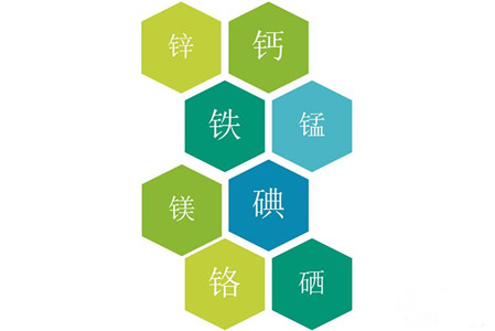 医用黄瓜视频下载APP品牌