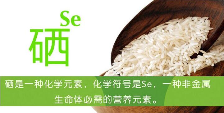 儿童黄瓜视频下载APP谈硒的摄入含量