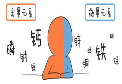 全自动黄瓜视频污污污污污介绍缺少微量元素的危害 全自动黄瓜视频污污污污污介绍缺少微量元素的危害