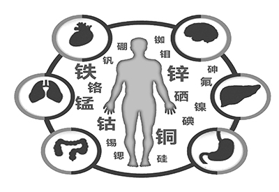 全自动黄瓜视频污污污污污厂家介绍缺少微量元素的危害 全自动黄瓜视频污污污污污厂家介绍缺少微量元素的危害