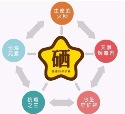 素分析仪,医用黄瓜视频污污污污污,人体微